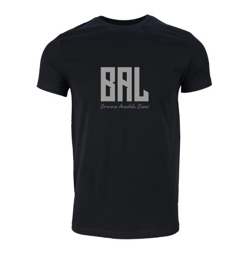 Bornova Anadolu Lisesi Model 1