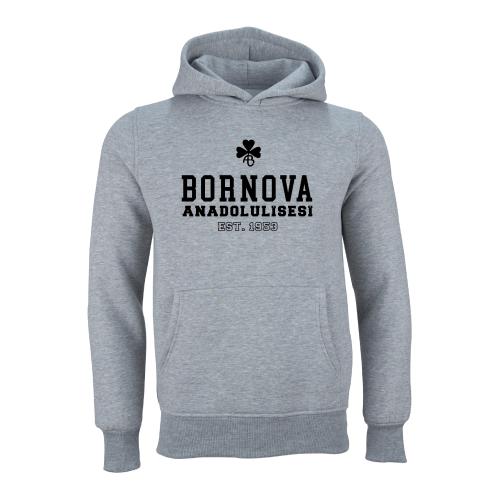 Bornova Anadolu Lisesi Model 2